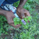 In-flore-scientia