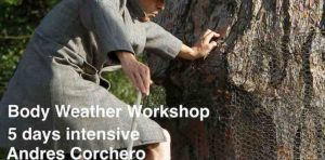 TASI - Body Weather Workshop