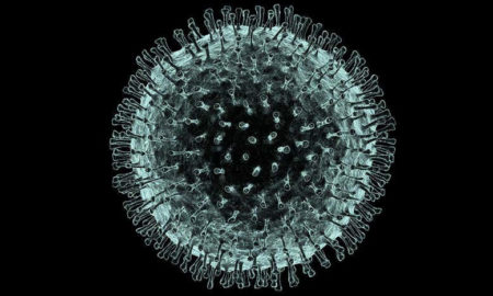 COVID-19 (Coronavirus SARS-CoV-2)