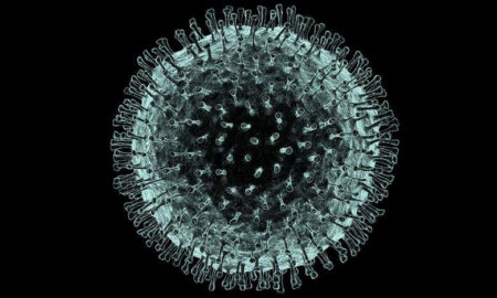 COVID-19 (Coronavirus SARS-CoV-2)