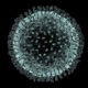 COVID-19 (Coronavirus SARS-CoV-2)