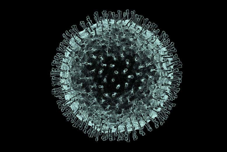 COVID-19 (Coronavirus SARS-CoV-2)