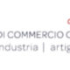 Camera di commercio del Canton Ticino - Logo