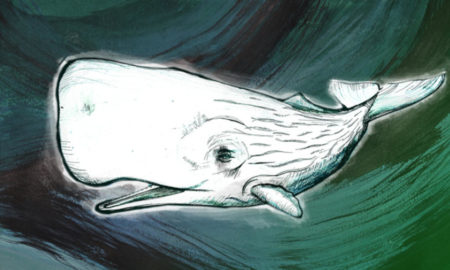 RSI - Logo della trasmissione "Moby Dick" di Rete Due