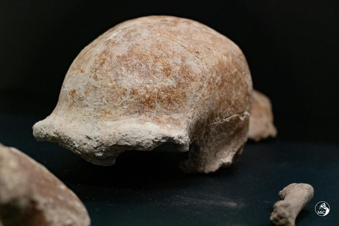 Una delle calotte craniche ritrovate nella Grotta Guattari a San Felice Circeo (Latina)