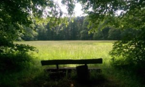 Reiterruhe - Neu-Isenburg, Assia, Germania