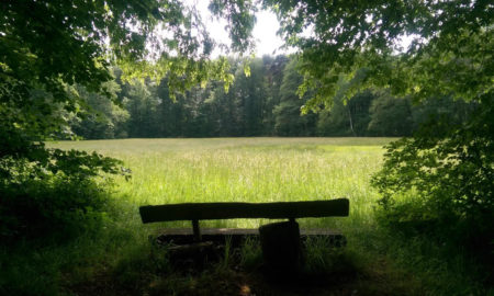 Reiterruhe - Neu-Isenburg, Assia, Germania