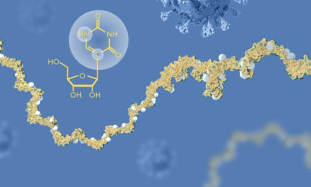 Nobel per la Medicina 2023 - Vaccini mRNA