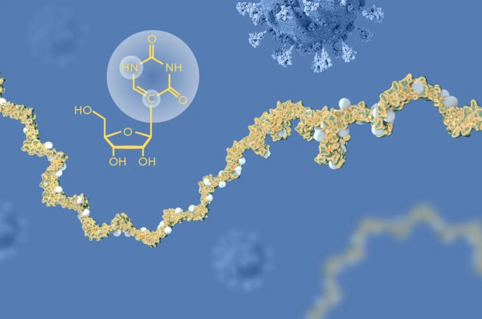 Nobel per la Medicina 2023 - Vaccini mRNA