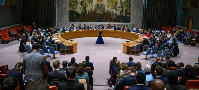 Consiglio di sicurezza dell'ONU