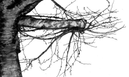 Albero spoglio