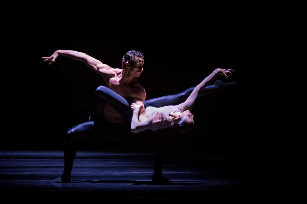 Adastra - Balé da Cidade de São Paulo