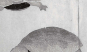 Fluire 15, rivista di pura poesia