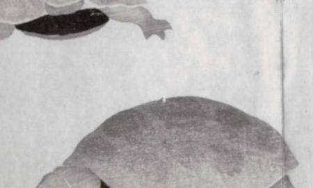 Fluire 15, rivista di pura poesia