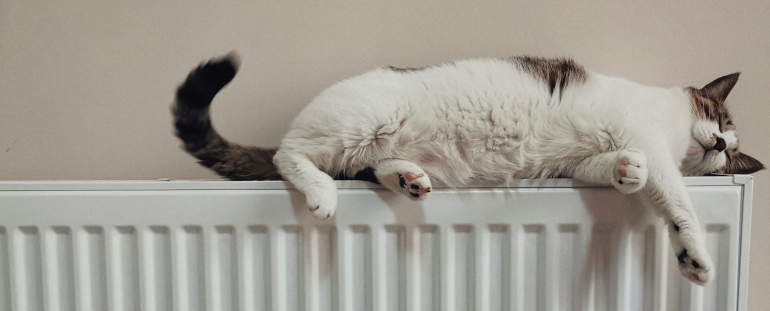 Gatto sdraiato sul termosifone