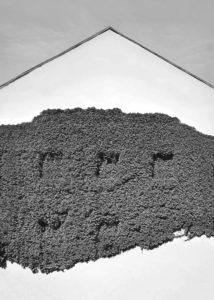 Pino Musi, Phytostopia #05, 2021/2025, digital fine-art print, 56 × 40 cm