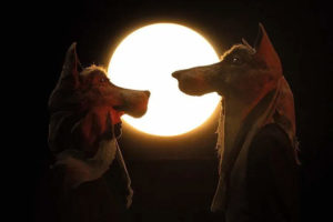 Una scena da "Rosaluna e i lupi"