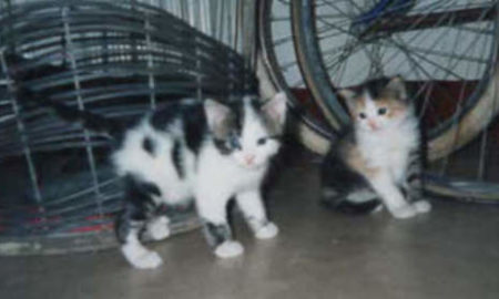 Musetta piccola con lo zio