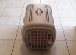 Gabbia da trasporto per gatti