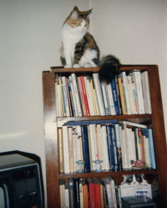 Musetta sulla libreria