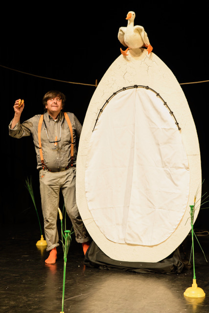 I brutti anatroccoli