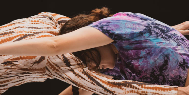 Human in the loop - Compagnia Nicole Seiler