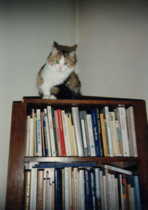 Musetta sulla libreria