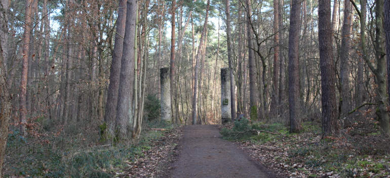 Il patibolo nel bosco a ovest di Steinheim (Hanau, Assia)