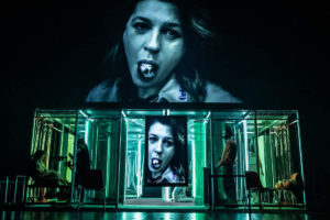 The Employees - Łukasz Twarkowski