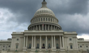 Il Campidoglio a Washington, D.C., sede dei due rami del Congresso statunitense