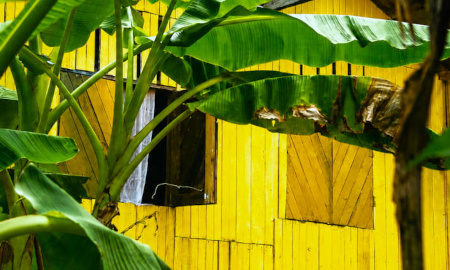 Casa gialla a Mukut, isola di Tioman, Malesia (Foto: E.Vezzoli)