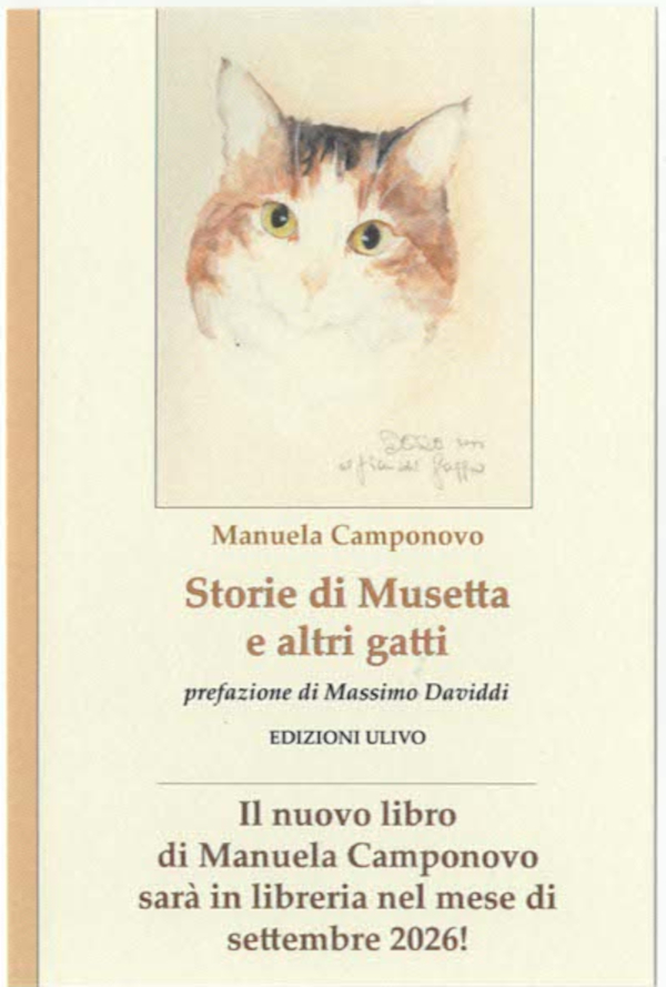 Storie di Musetta e altri gatti - Flyer