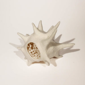Miniartextil 35 - [The time voyage]